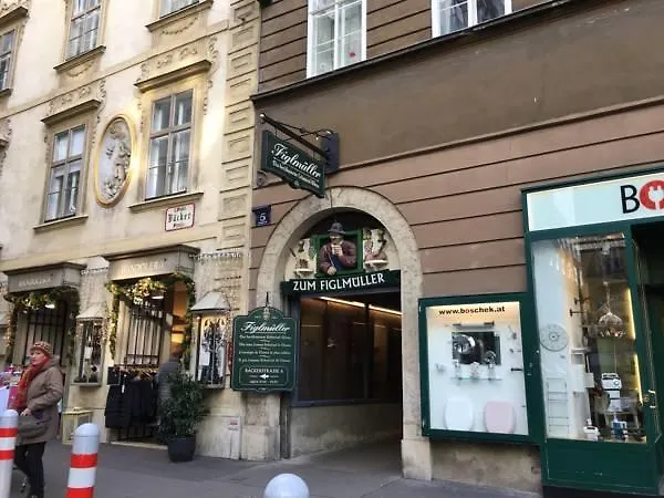 City-Center Apartment Vienna